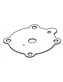 membrane